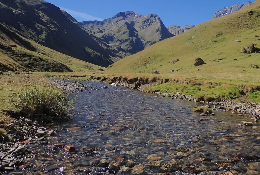 Etude des populations de truites des Nestes de Gela et Badet