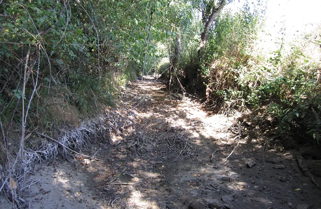 Intégration du réseau de suivi de l’écoulement des linéaires de cours d’eau