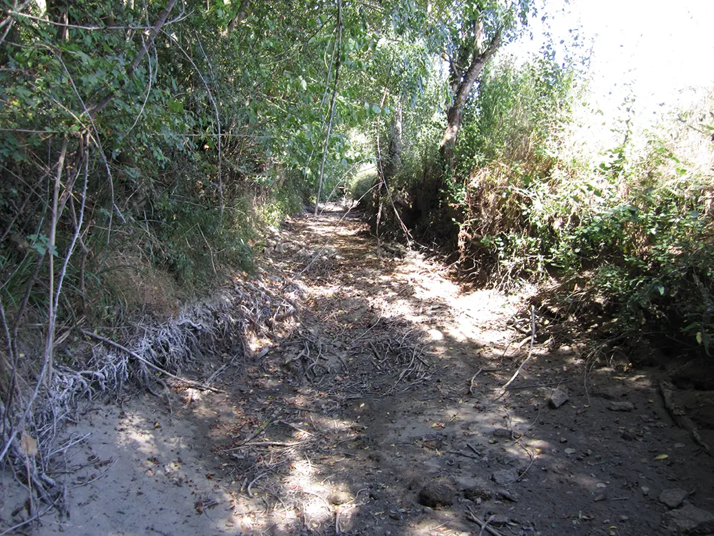 reseau du suivi ecoulement des lineaires