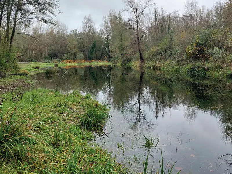 restauration frayere brochet aquitain